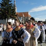 piskorevacvki sokaci 48