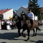 piskorevacvki sokaci 72