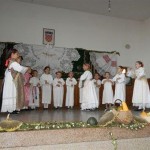 piskorevacvki sokaci 87